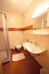 Ferienwohnungen an der Piste - Apartment Bliem in Flachau, Österreich