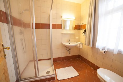 Badezimmer - Apartment Bliem in Flachau, Österreich
