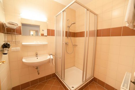 Ferienwohnung in Flachau - direkt am Lift - Apartment Bliem