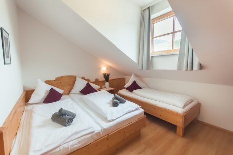 Apartment direkt am Lift - Haus Bliem in Flachau