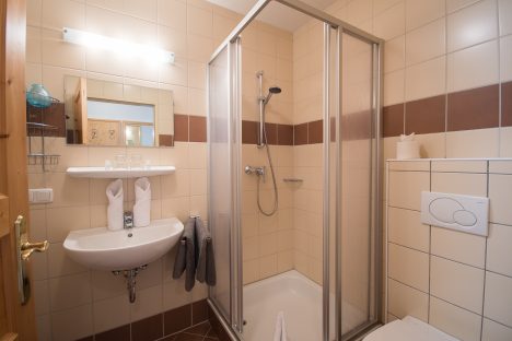 Apartment direkt am Lift - Haus Bliem in Flachau